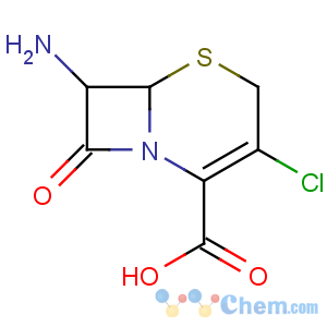 CAS No:53994-69-7 7-Amino-3-Chloro-3-Cephem-4-Carboxylic Acid
