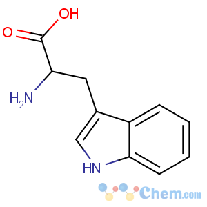 CAS No:54-12-6 2-amino-3-(1H-indol-3-yl)propanoic acid