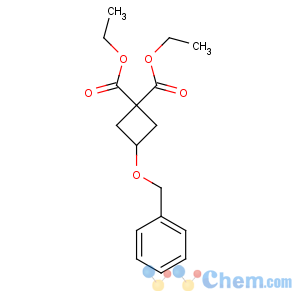 CAS No:54166-15-3 diethyl 3-phenylmethoxycyclobutane-1,1-dicarboxylate