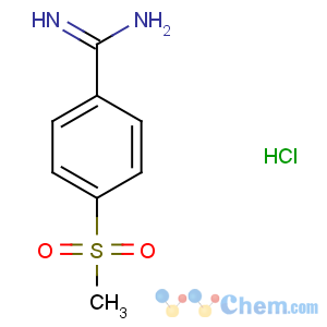 CAS No:5434-06-0 4-methylsulfonylbenzenecarboximidamide