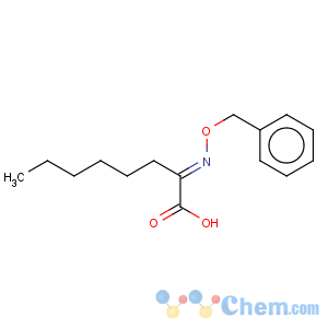 CAS No:5435-48-3 Octanoic acid,2-[(phenylmethoxy)imino]-