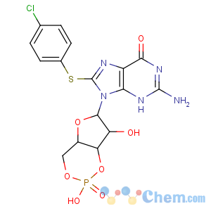 CAS No:54364-02-2 Guanosine,8-[(4-chlorophenyl)thio]-, cyclic 3',5'-(hydrogen phosphate)