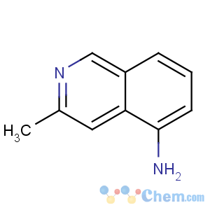 CAS No:54410-17-2 3-methylisoquinolin-5-amine
