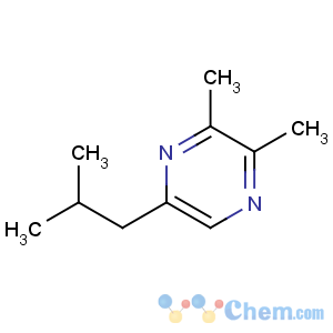 CAS No:54410-83-2 2,3-dimethyl-5-(2-methylpropyl)pyrazine
