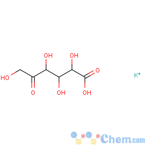CAS No:5447-60-9 D-xylo-5-Hexulosonicacid, potassium salt (1:1)