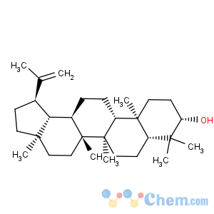 CAS No:545-47-1 Lupeol