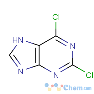 CAS No:5451-40-1 2,6-dichloro-7H-purine