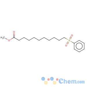 CAS No:5455-42-5 methyl 11-(phenylsulfonyl)undecanoate