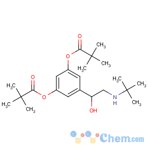 CAS No:54592-27-7 [3-[2-(tert-butylamino)-1-hydroxyethyl]-5-(2,<br />2-dimethylpropanoyloxy)phenyl] 2,2-dimethylpropanoate