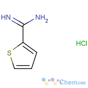 CAS No:54610-70-7 thiophene-2-carboximidamide