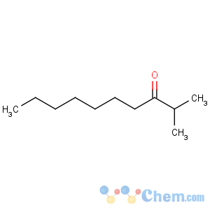 CAS No:5463-82-1 3-Decanone, 2-methyl-