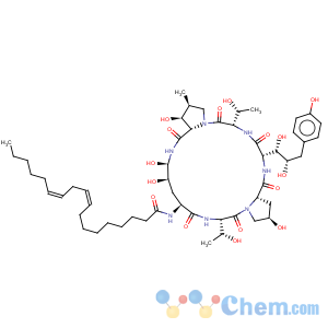 CAS No:54651-05-7 Echinocandin B