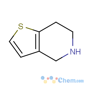 CAS No:54903-50-3 4,5,6,7-tetrahydrothieno[3,2-c]pyridine