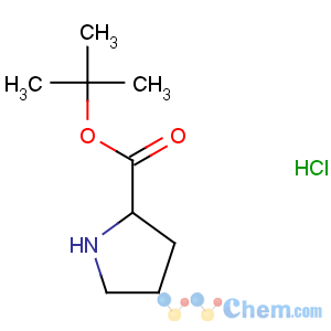 CAS No:5497-76-7 tert-butyl (2S)-pyrrolidine-2-carboxylate