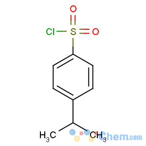 CAS No:54997-90-9 4-propan-2-ylbenzenesulfonyl chloride