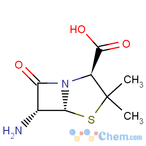 CAS No:551-16-6 6-Aminopenicillanic acid