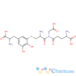 CAS No:55136-58-8 Glycine, L-g-glutamyl-S-[5-[(2S)-2-amino-2-carboxyethyl]-2,3-dihydroxyphenyl]-L-cysteinyl-(9CI)
