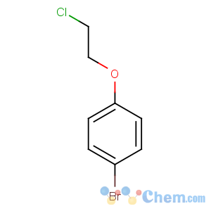 CAS No:55162-34-0 1-bromo-4-(2-chloroethoxy)benzene