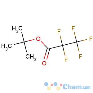 CAS No:55258-28-1 t-butyl pentafluoropropionate
