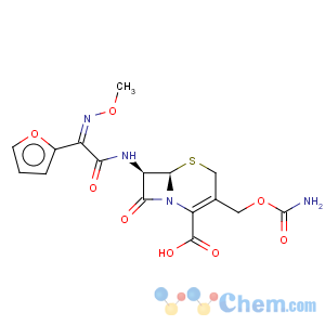 CAS No:55268-75-2 Cefuroxime