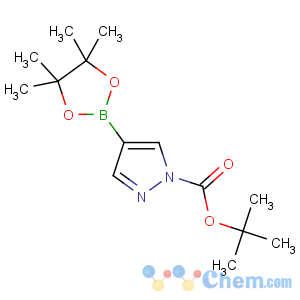 CAS No:552846-17-0 tert-butyl<br />4-(4,4,5,5-tetramethyl-1,3,2-dioxaborolan-2-yl)pyrazole-1-carboxylate
