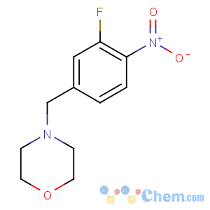 CAS No:552883-91-7 4-[(3-fluoro-4-nitrophenyl)methyl]morpholine