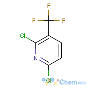 CAS No:55304-75-1 2,6-dichloro-3-(trifluoromethyl)pyridine