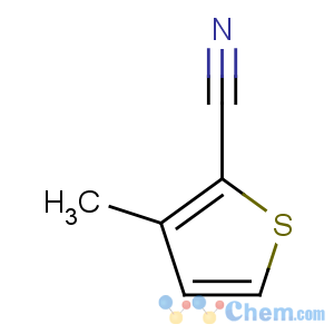 CAS No:55406-13-8 3-methylthiophene-2-carbonitrile