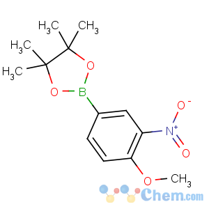 CAS No:554411-20-0 2-(4-methoxy-3-nitrophenyl)-4,4,5,5-tetramethyl-1,3,2-dioxaborolane