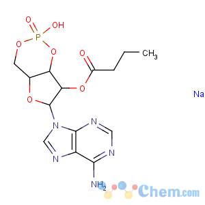 CAS No:55443-13-5 [6-(6-aminopurin-9-yl)-2-hydroxy-2-oxo-4a,6,7,7a-tetrahydro-4H-furo[3,<br />2-d][1,3,2]dioxaphosphinin-7-yl] butanoate