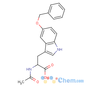 CAS No:55443-80-6 2-acetamido-3-(5-phenylmethoxy-1H-indol-3-yl)propanoic acid