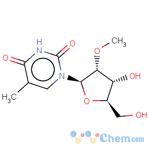 CAS No:55486-09-4 5,2'-O-Dimethyluridine2'-O-Methyl-5-methyluridine5,2'-O-Dimethyluridine2'-O-Methyl-5-methyluridine5,2'-O-Dimethyluridine5,2'-O-Dimethyluridine2'-O-Methyl-5-methyluridine5,2'-O-Dimethyluridine2'-O-Methyl-5-methyluridine5,2'-O-Dimethyluridine