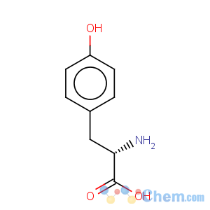 CAS No:55520-40-6 L-Tyrosine