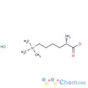 CAS No:55528-53-5 h-lys(me)3-oh chloride