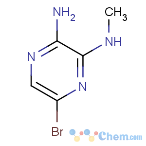 CAS No:55635-63-7 5-bromo-3-N-methylpyrazine-2,3-diamine