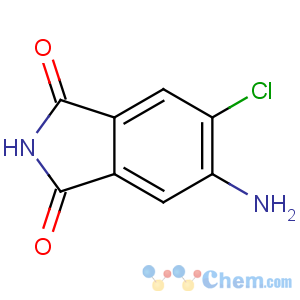 CAS No:5566-48-3 5-amino-6-chloroisoindole-1,3-dione