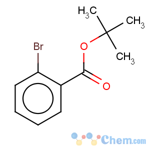 CAS No:55666-42-7 Benzoic acid, 2-bromo-,1,1-dimethylethyl ester