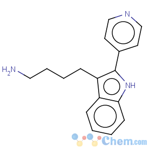 CAS No:556777-73-2 4-(2-pyridin-4-yl-1h-indol-3-yl)-butylamine