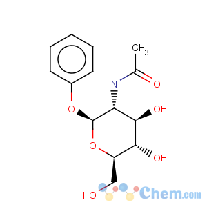 CAS No:5574-80-1 b-D-Glucopyranoside, phenyl2-(acetylamino)-2-deoxy-