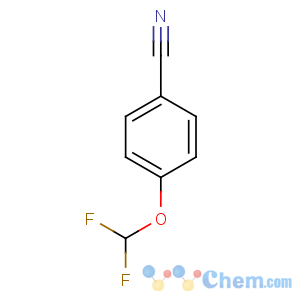 CAS No:55805-10-2 4-(difluoromethoxy)benzonitrile