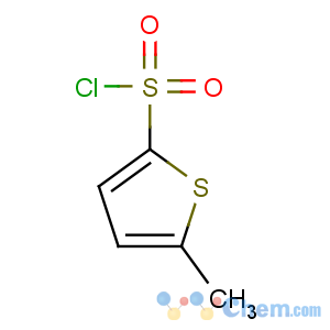 CAS No:55854-45-0 5-methylthiophene-2-sulfonyl chloride