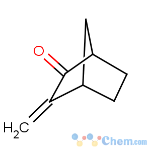 CAS No:5597-27-3 2-methylidenebicyclo[2.2.1]heptan-3-one