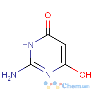 CAS No:56-09-7 2-amino-4-hydroxy-1H-pyrimidin-6-one