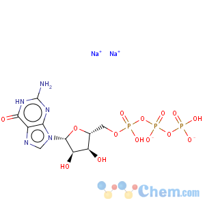 CAS No:56001-37-7 Guanosine-5'-triphosphoric acid disodium salt