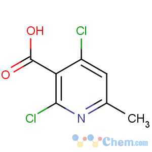 CAS No:56022-07-2 2,4-dichloro-6-methylpyridine-3-carboxylic acid