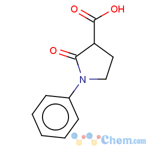 CAS No:56137-52-1 3-Pyrrolidinecarboxylicacid, 2-oxo-1-phenyl-