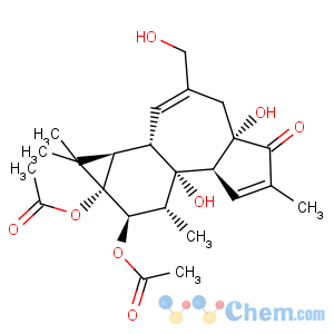 CAS No:56144-62-8 4alpha-phorbol-12,13-diacetate