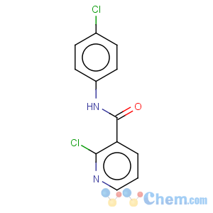 CAS No:56149-31-6 2-Chloro-N-(4-chlorophenyl)nicotinamide