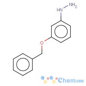 CAS No:56239-39-5 (3-benzyloxy-phenyl)-hydrazine
