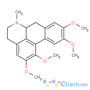 CAS No:5630-11-5 glaucine